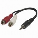 Conex. RCA audio a jack 3.5
