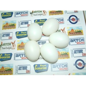 Huevo de gallina de mentira Blanco