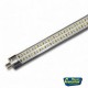 Fluorescente LED 16w -  6400k