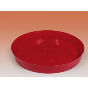 Bandeja comedero pollitos