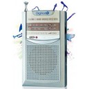 Radio Digivolt Am/Fm RD-802