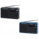 RADIO PORTATIL SUSNSTECH RPDS32