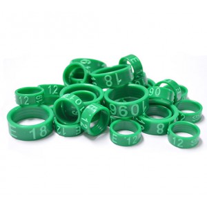 ANILLAS OFICIALES 2019  -PACK 10 ANILLAS DE 24 MM