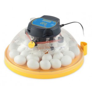 Incubadora Brinsea Maxi II Advance