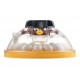 Incubadora Brinsea Maxi II Advance