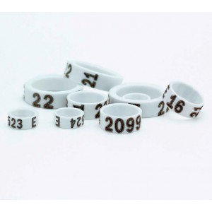 ANILLAS OFICIALES 2021 -PACK 10 ANILLAS DE 27 MM