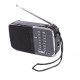 RADIO SANDA SD-0110