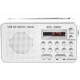 RADIO ELBE RF-49-USB CON LECTOR DE TARJETAS