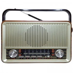 RADIO PRITECH PBP-500