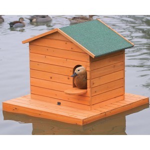 Isla de patos flotante+casseta pequeña 